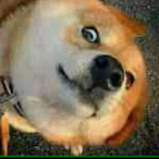 AerMiao's Avatar'