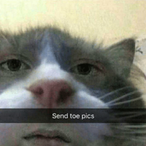 Pooknah's Avatar'