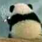 QAQ---xiaoyue's Avatar'