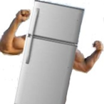 MuscularFridge's Avatar'