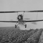 Junko--SSG's Avatar'