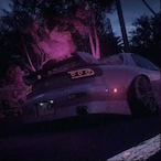 PurpleLama's Avatar'