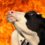 ThwompChild's Avatar'