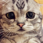 Junh_2's Avatar'