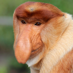 RudyMarek153's Avatar'