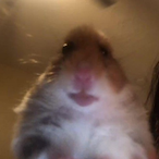 Marsh-iwnl's Avatar'