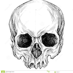SkullParty420's Avatar'