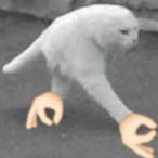 bruhmomment87's Avatar'