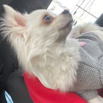 Tamqne_NSJ's Avatar'