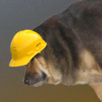 Dogtistic's Avatar'