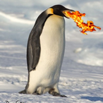 xPenguinix's Avatar'