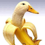 BanAnA-DuCk_'s Avatar'