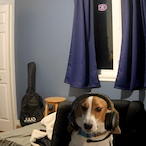 Dogo_Gaming's Avatar'
