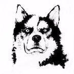 CYZ1213's Avatar'