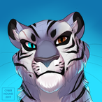KITT0RA's Avatar'