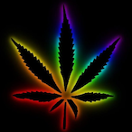 DimSidedRage69's Avatar'