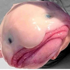 yum_yumS2's Avatar'