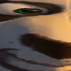 oznomnom's Avatar'