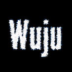 Msater_Wuju's Avatar'