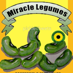 Miracle.RPO's Avatar'
