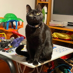 Fresh_WaterH20's Avatar'