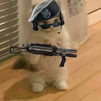 R6S.CN.Ryes's Avatar'