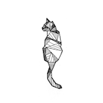 Chinonami's Avatar'