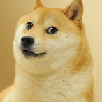 ADHD-_-HoLy's Avatar'