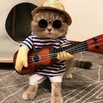 CallMeStyli's Avatar'