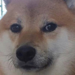 El_Jefe_Francis's Avatar