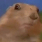 exselegaming21's Avatar'