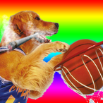 AirBud_420's Avatar