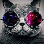 Dark_TurTle7's Avatar'