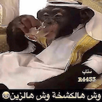 XIV_Suicider_XVI's Avatar'