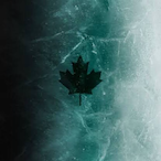 IllREY AZTECA's Avatar'