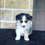 Itz..Spexz's Avatar'