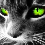 Tankst3r-_60Hz's Avatar'