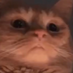 Lil_FaDe._.'s Avatar'