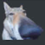 unwavered's Avatar'