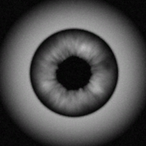 TheOverseer.'s Avatar