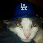 marshmallow0517's Avatar'