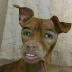 MNK.Matyta's Avatar'