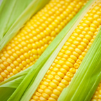 DronedUout-'s Avatar'