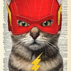 catflash-.-'s Avatar'