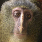 bigdickkanye's Avatar'