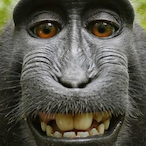 SrryNewToGame's Avatar'