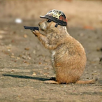 Skipper50844's Avatar'