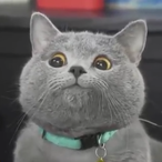 DampfEdelstein6's Avatar'