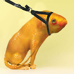 fish.fishy's Avatar'