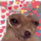 PZPnugget13's Avatar'